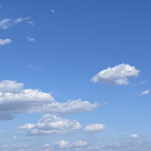 ケラスターゼ⭐️猫っ毛に効果ある？😕一番人気は？😕ピンクはどんな匂い？黒はどんな匂い？